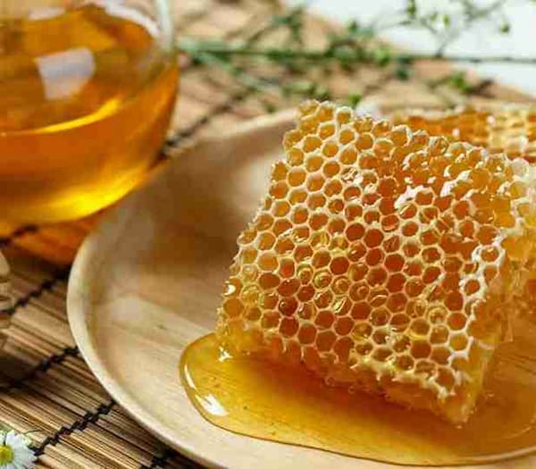 خرید عسل موم دار سبلان + قیمت فروش استثنایی